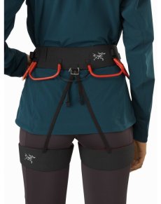 画像3: Arc'teryx アークテリクス C-quence Harness Women's　シークエンス ハーネス ウィメンズ （24822） (3)