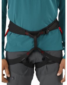 画像3: Arc'teryx アークテリクス C-quence Harness Men's　シークエンス ハーネス メンズ （24821） (3)