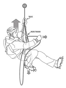 画像8: PETZL ペツル タイブロック B01 (8)