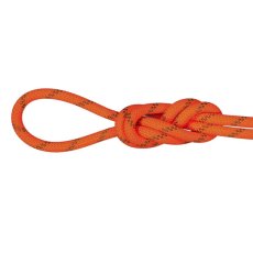 画像3: 【特別価格10％OFF】 MAMMUT マムート 8.0 アルパイン ドライ ロープ  [2010-04350] (3)