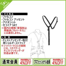 画像1: PETZL ペツル スクール (C74A) [取り寄せ対応品] (1)