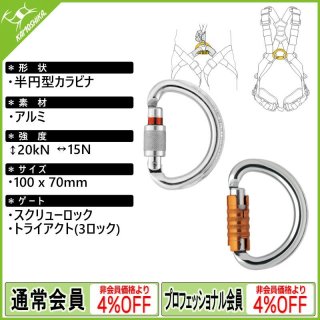 PETZL NEWTON FAST INTERNATIONAL ペツル ニュートン ファスト 国際Ver