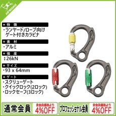 画像1: DMM ディーエムエム ディレクター キャプティブアイ [取り寄せ対応品] (1)