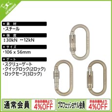 画像1: DMM ディーエムエム スチール オーバル 10 [取り寄せ対応品] (1)