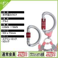 画像1: カンプ セーフティ トライアド ロック [取り寄せ対応品] (1)