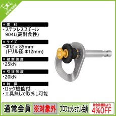 画像1: PETZL ペツル クール パルス 12mm (G037BA00) [取り寄せ対応品] (1)