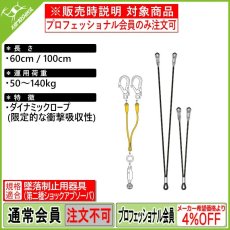 画像1: PETZL ペツル ジェーン Y  (フォールアレスト用ランヤード) L051AA (1)