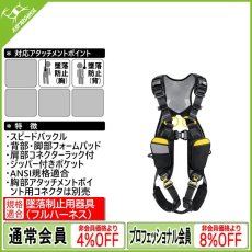 画像1: PETZL ペツル ニュートン イージーフィット 国際Ver. (C073FA) [取り寄せ対応品] (1)