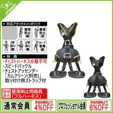 画像1: シンギングロック プロフィワーカー 3D スピード (1)