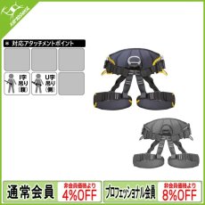 画像1: シンギングロック シットワーカー 3D スタンダード [取り寄せ対応品] (1)