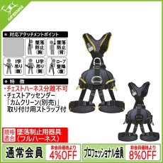 画像1: シンギングロック プロフィワーカー 3D スタンダード (1)