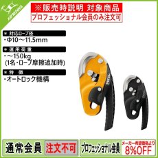 画像1: PETZL ペツル リグ (1)