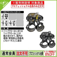 画像1: PETZL ペツル アバオ シット (1)