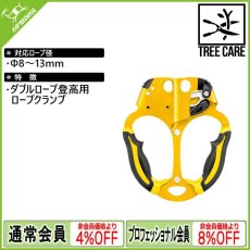 画像1: PETZL ペツル アッセンツリー (B19AAA) [取り寄せ対応品] (1)