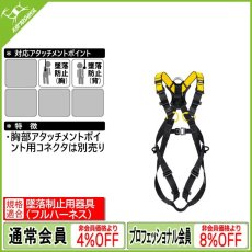 画像1: 【特別価格】PETZL ペツル ニュートン 欧州Ver. (C073AA) (1)