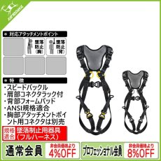 画像1: 【特別価格】PETZL ペツル ニュートン ファスト 国際Ver. (C073DA) (1)