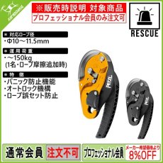 画像1: PETZL ペツル アイディ エス (1)