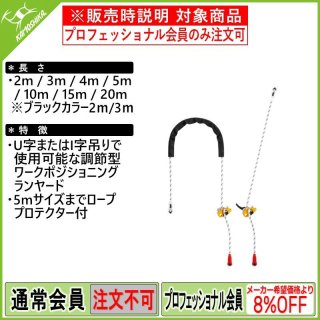 高所作業＞カテゴリ別】ペツル プロフェッショナル（ランヤード