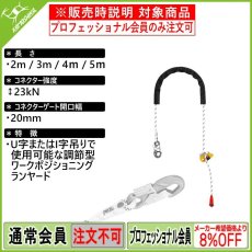 画像1: PETZL ペツル グリヨン フック 欧州Ver. (1)