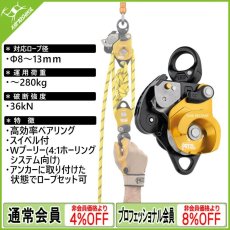 画像1: PETZL ペツル ツイン リリース (P001DA00) [取り寄せ対応品] (1)