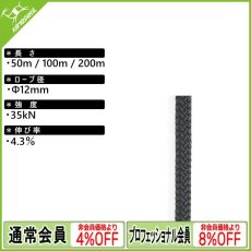 画像1: エーデルワイス セミスタティックロープ 12mm (CSTN12-BK) [取り寄せ対応品] (1)