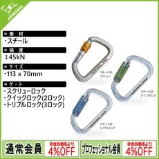 画像1: roc'teryx ロックテリクス スチールD [取り寄せ対応品] (1)