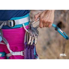 画像6: PETZL ペツル ジン アクセス (M060LC) (6)