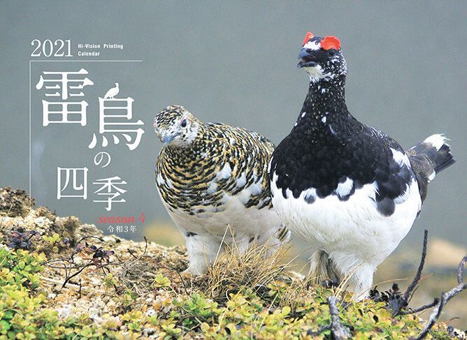 雷鳥の四季21カレンダー カモシカオンラインショップ